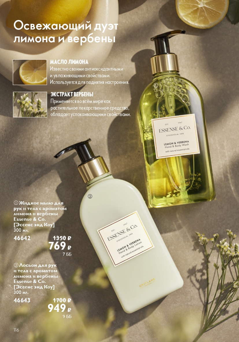 Страница 116