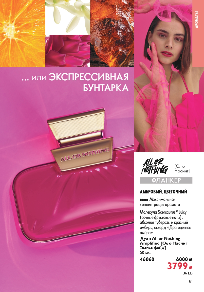 Страница 51